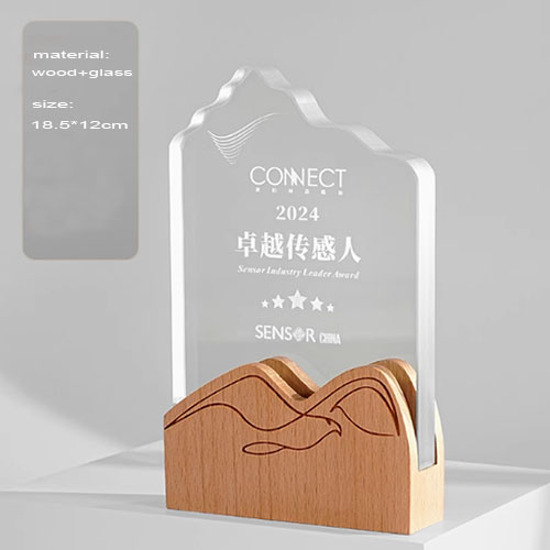 Engraved Large Glass  Award with Wood (Free Customization) 