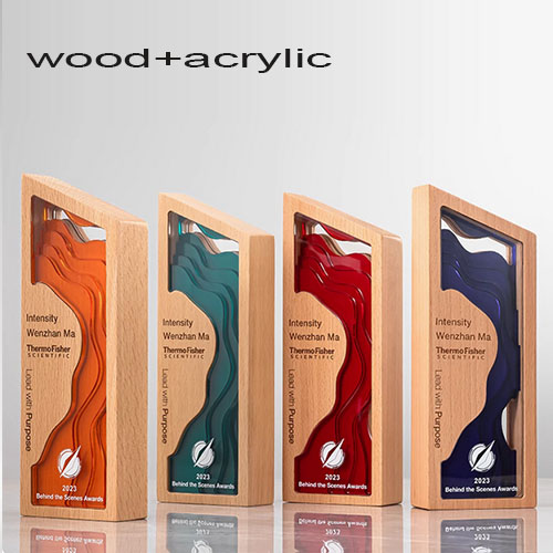 Acrylic Wood Wooden Acrylic Award Trophy - 副本