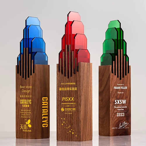 Acrylic Trophy With Wooden Base For College, School, Office Etc. 